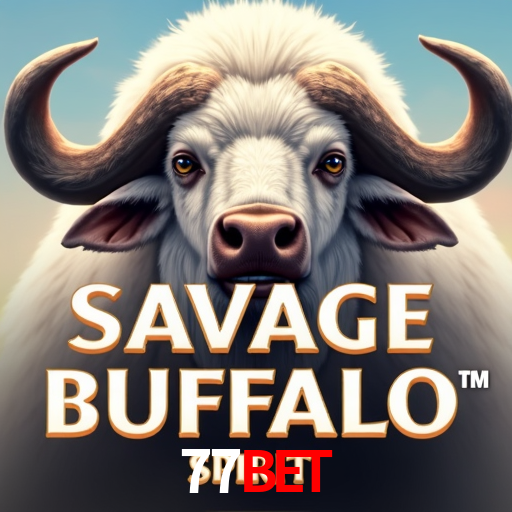 A Experiência Imersiva dos Cassinos Ao Vivo no 77bet